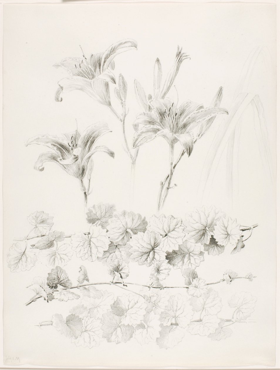  by George Elbert Burr