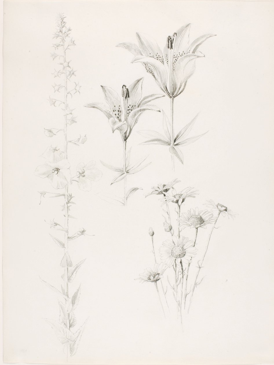  by George Elbert Burr