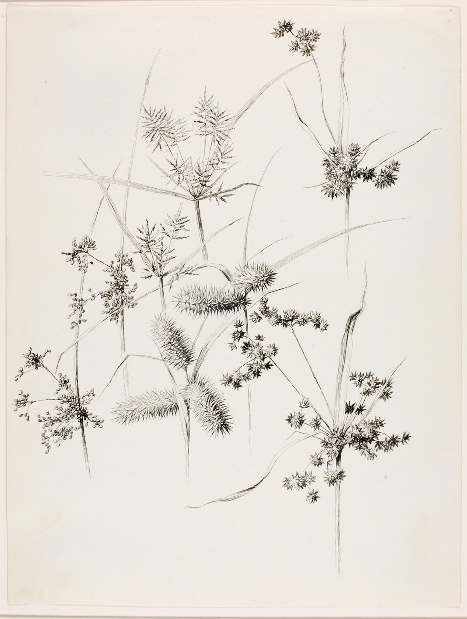  by George Elbert Burr