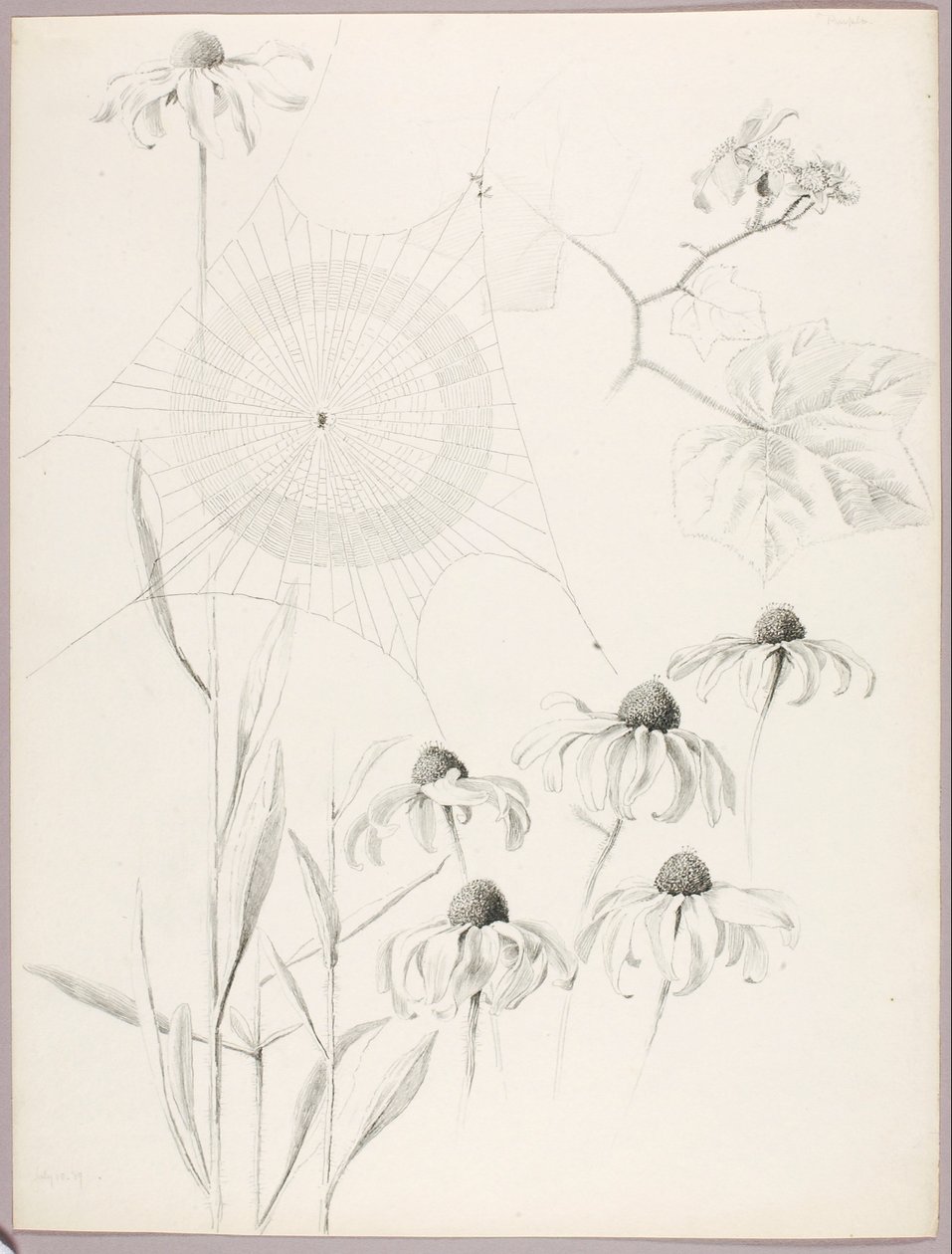  by George Elbert Burr