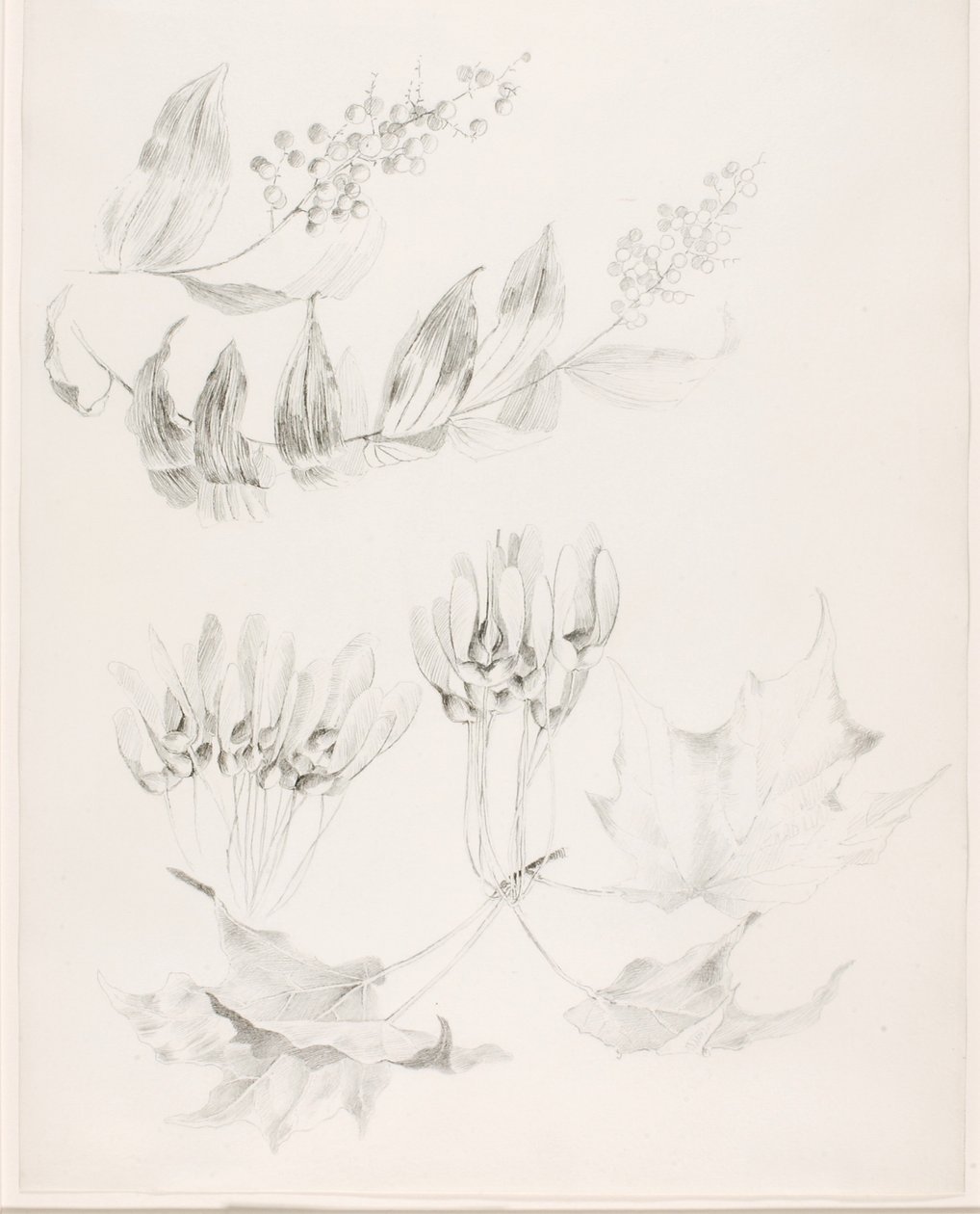  by George Elbert Burr