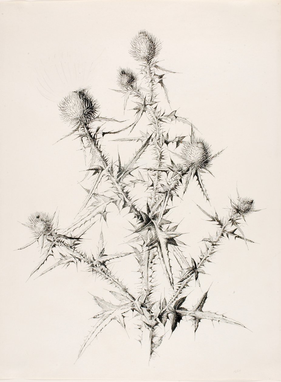  by George Elbert Burr