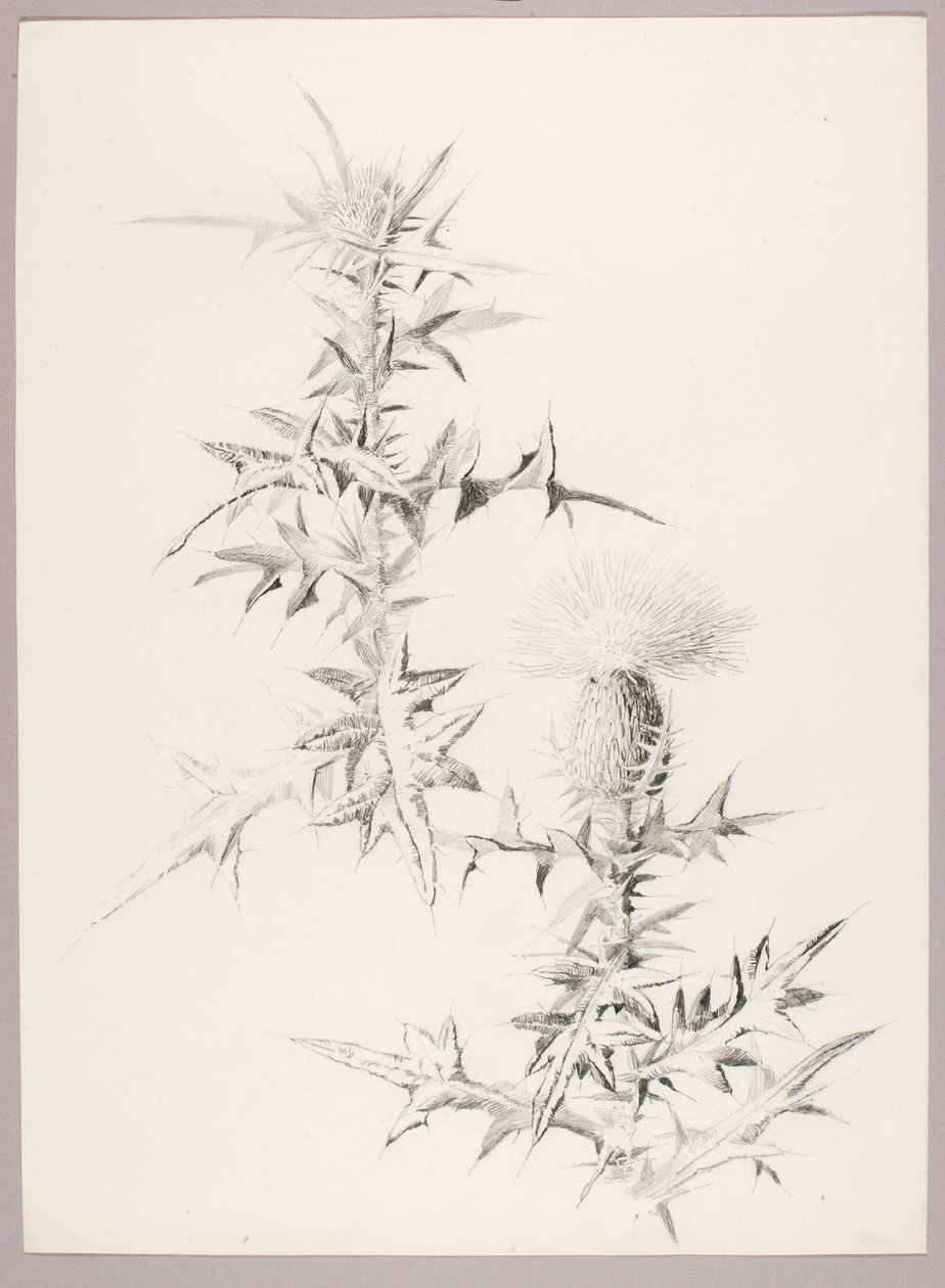  by George Elbert Burr