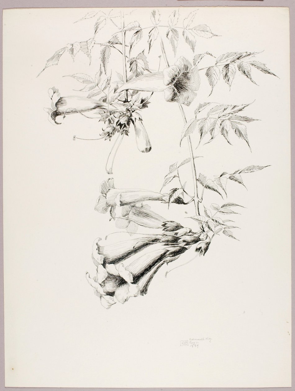  by George Elbert Burr
