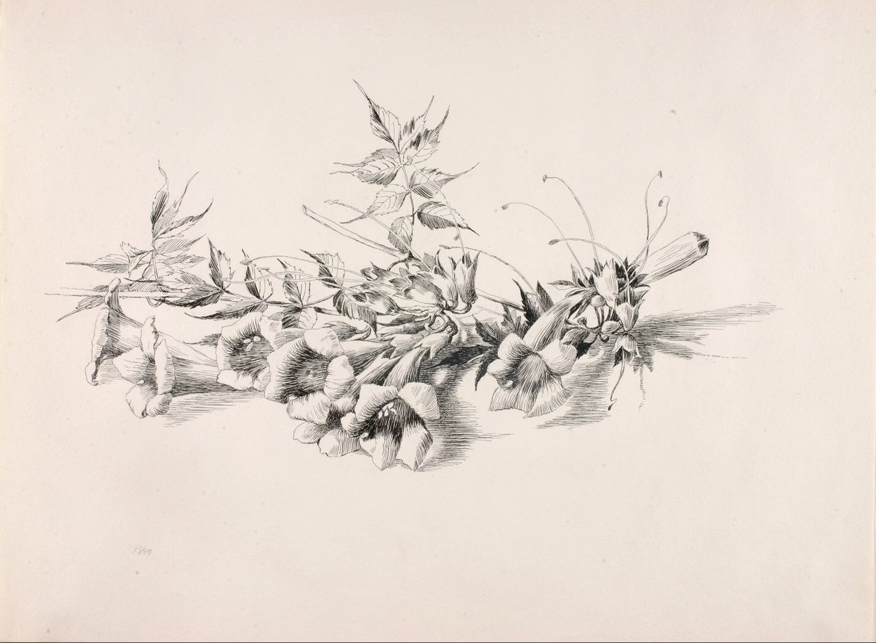 by George Elbert Burr