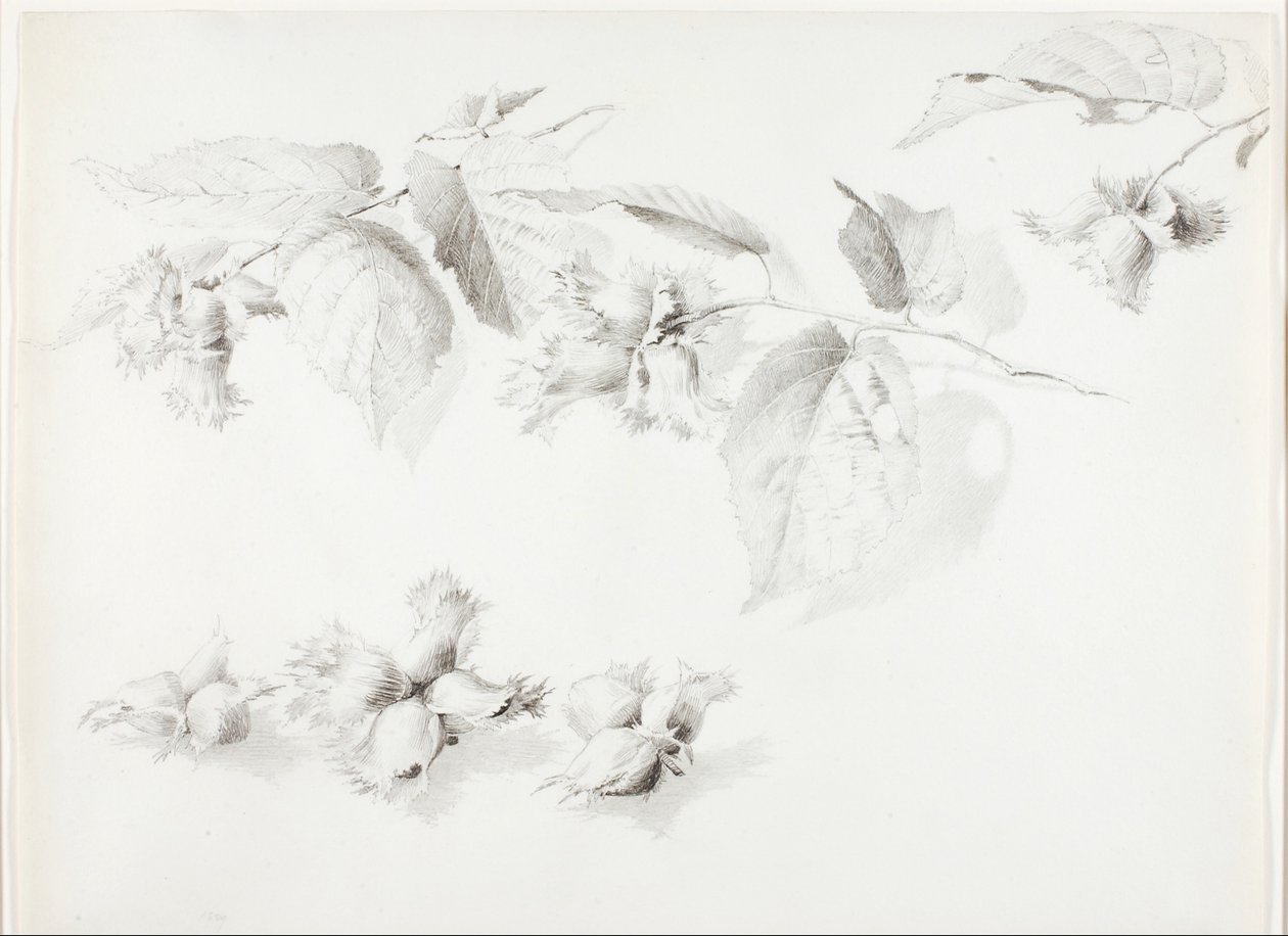  by George Elbert Burr