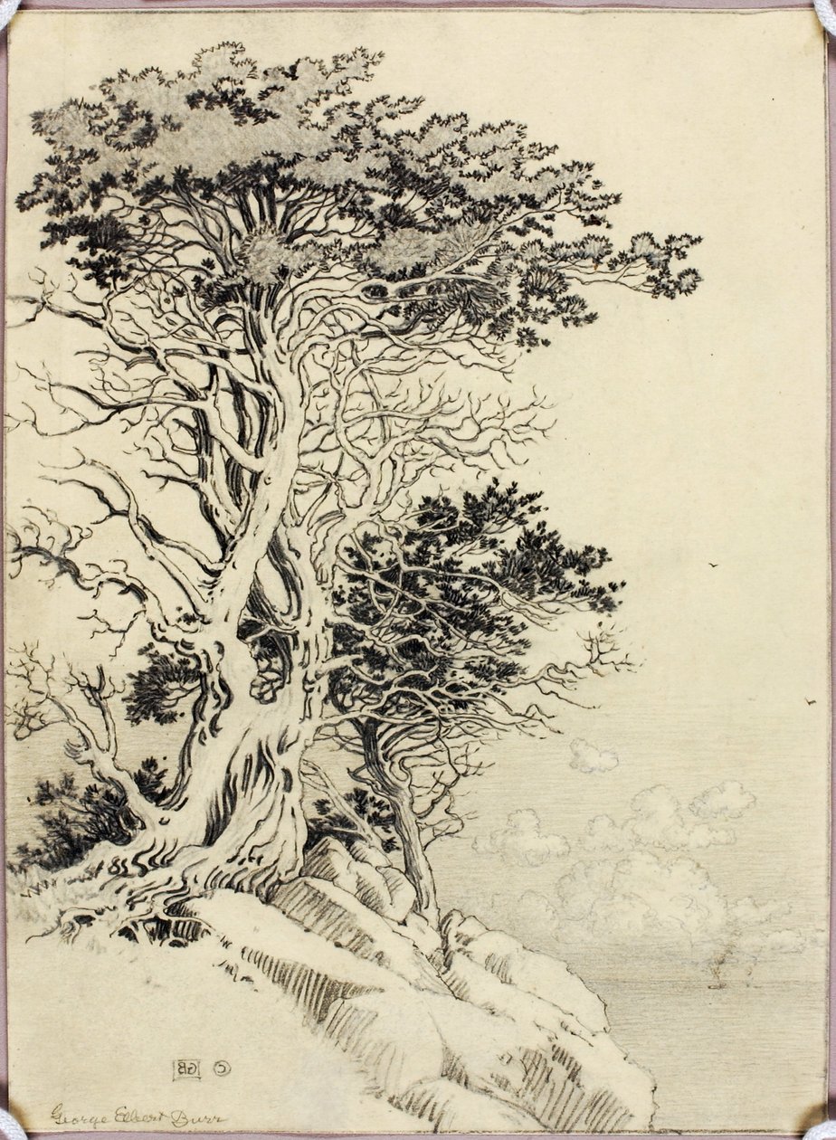  by George Elbert Burr