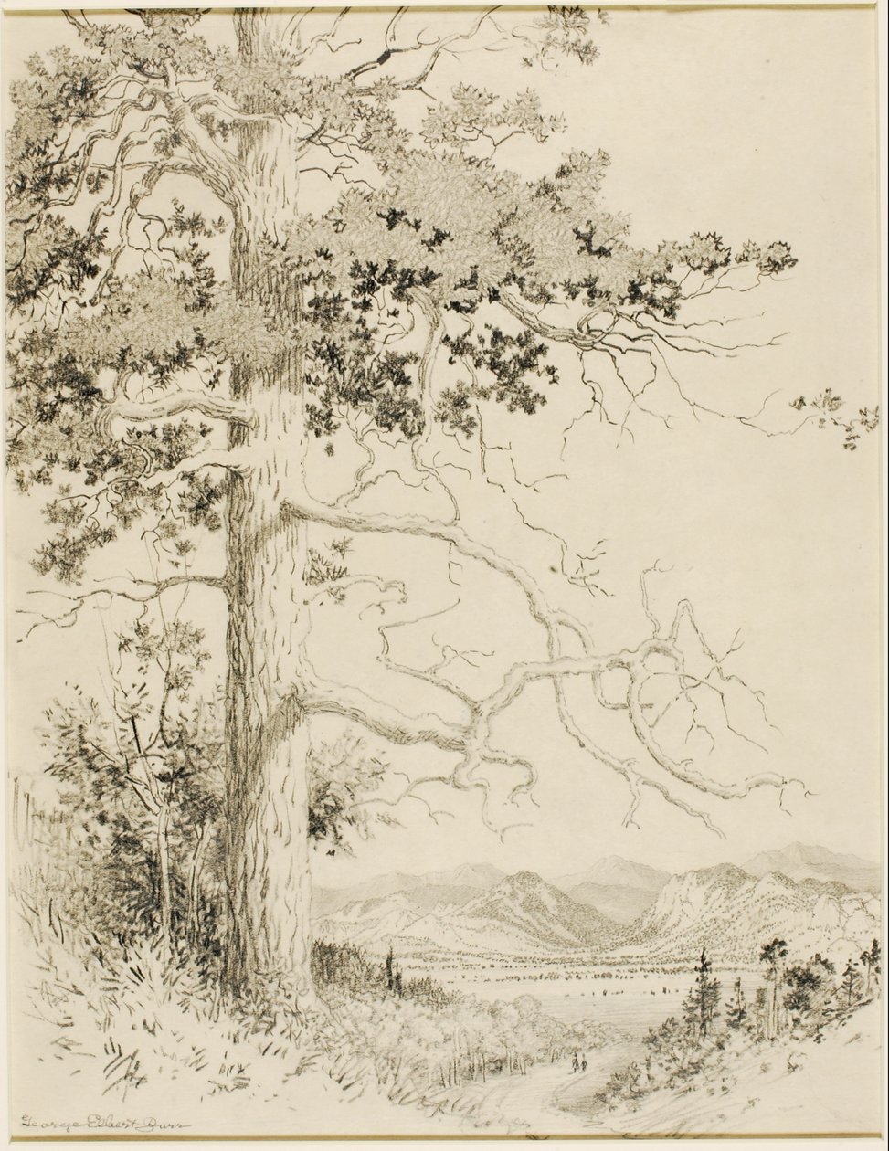  by George Elbert Burr