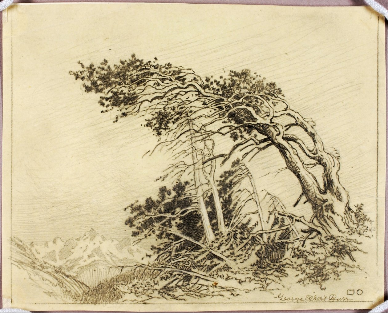  by George Elbert Burr
