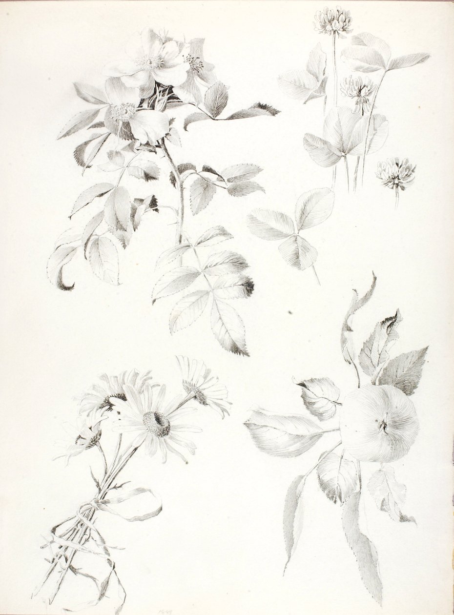  by George Elbert Burr