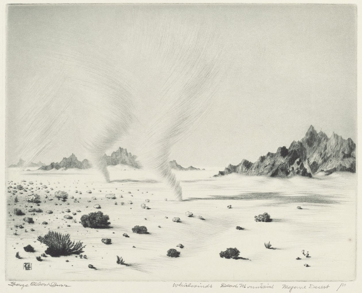 Kasırgalar, Ölü Dağlar, Mojave Çölü, California by George Elbert Burr