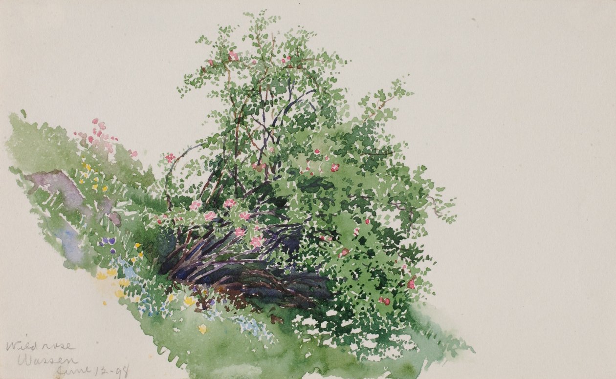  by George Elbert Burr