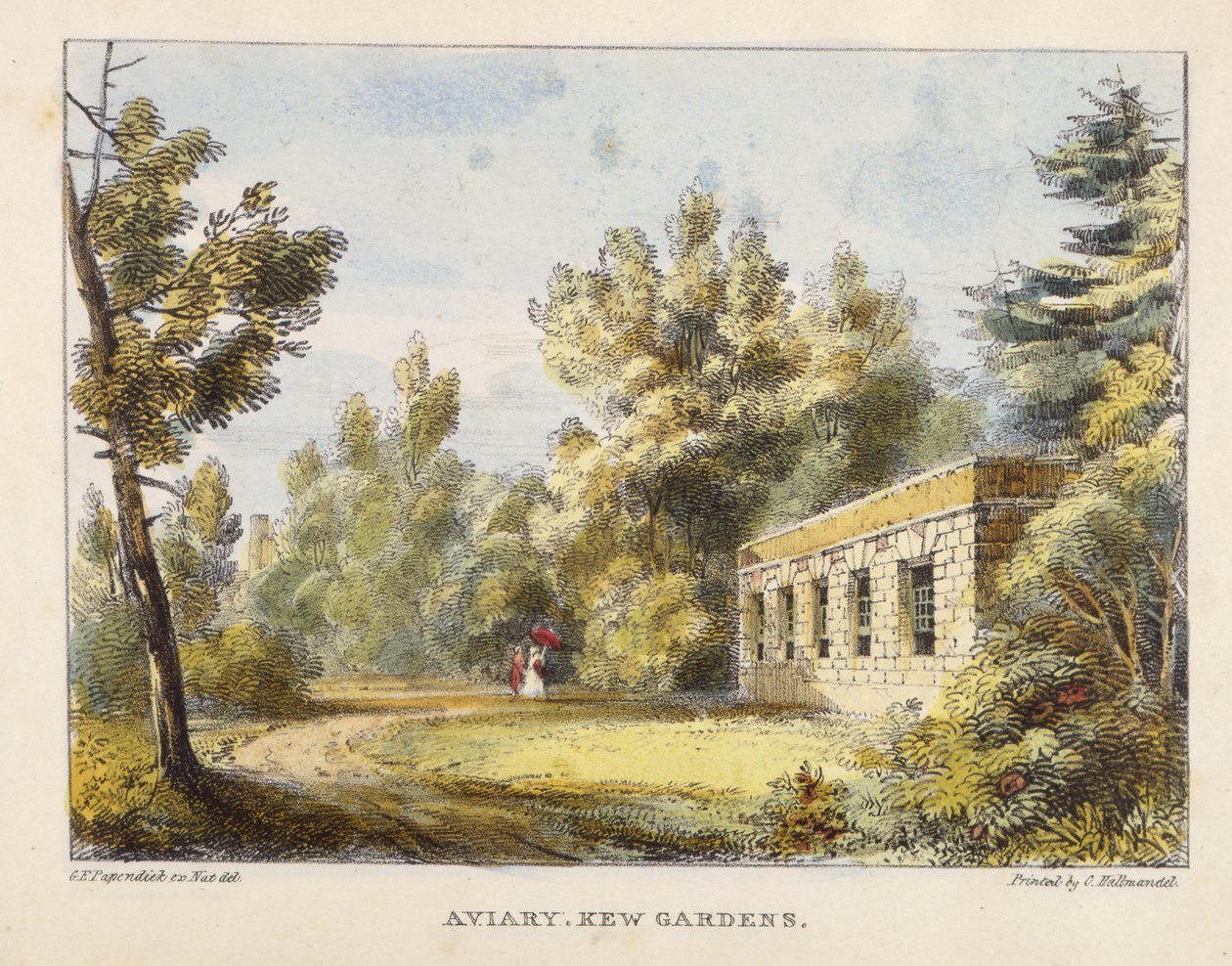 Aviary, Kew Gardens, Kew Gardens'dan levha 10: Charles Hullmandel (1789-1850) tarafından oyulmuş Taş Üzerine Yirmi Dört Çizim Serisi, 1820'de yayınlandı (el boyaması taş) by George Ernest after Papendiek