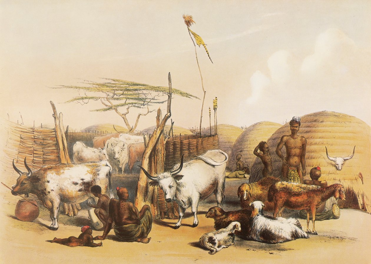  by George French Angas