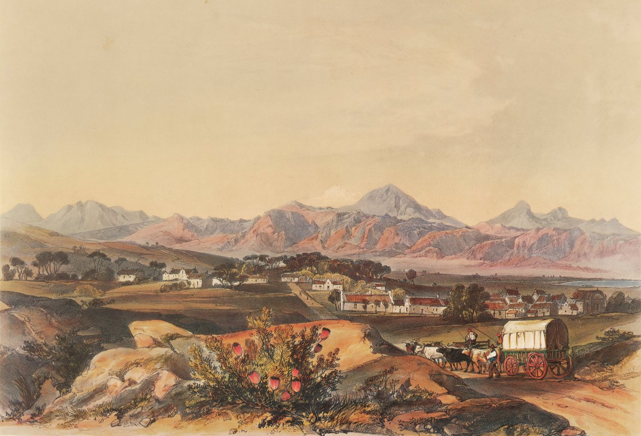  by George French Angas