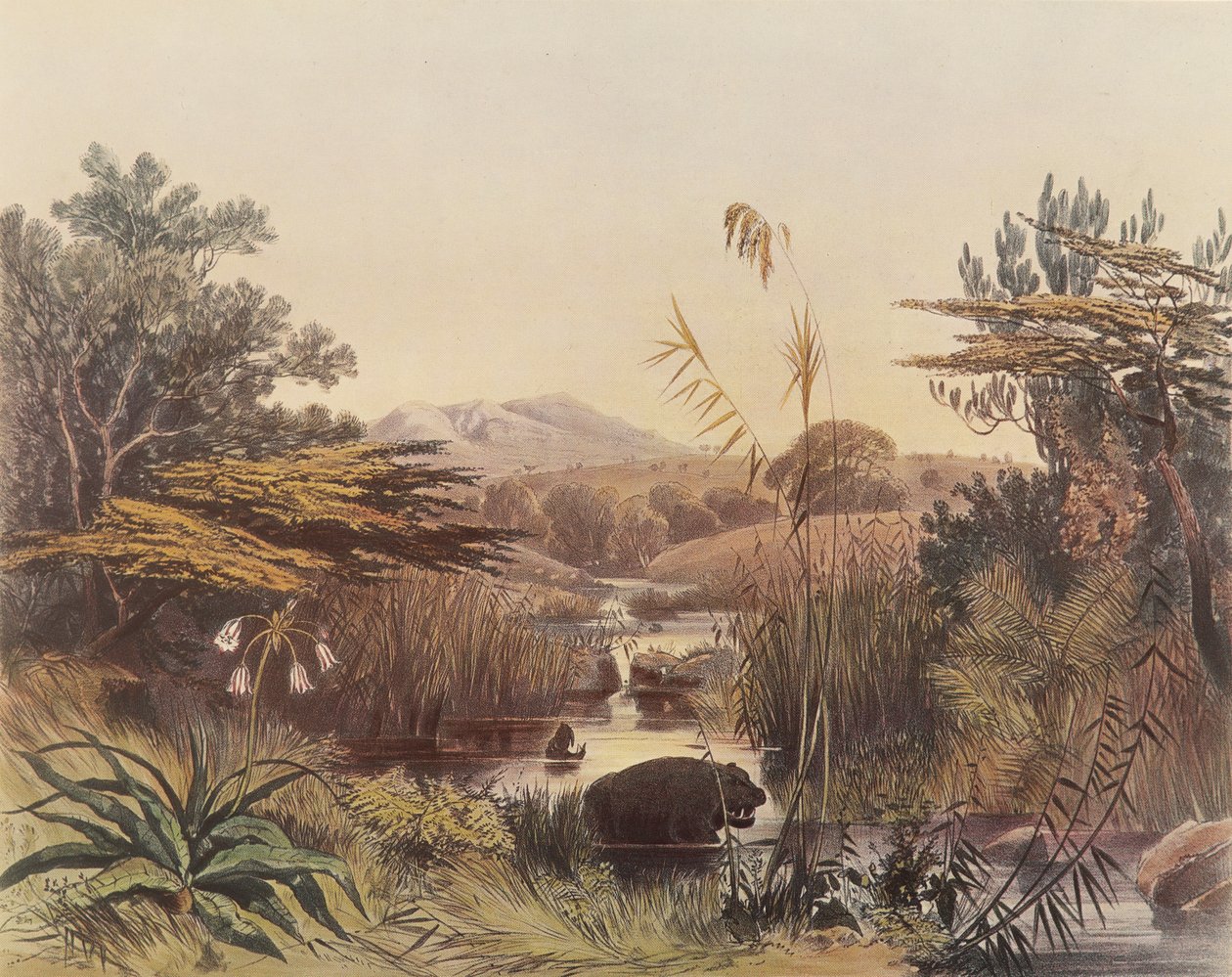  by George French Angas