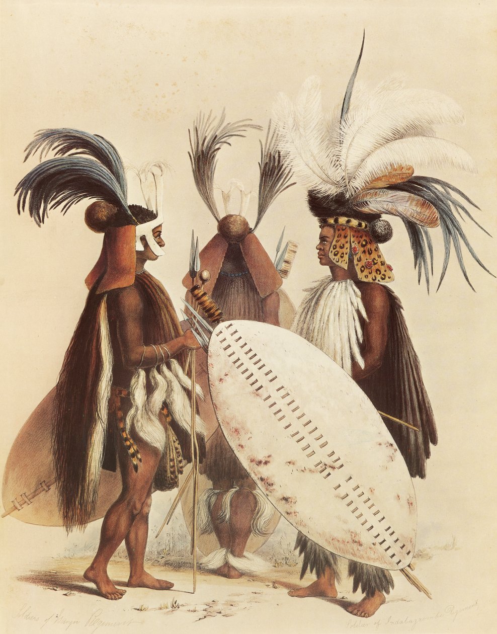  by George French Angas