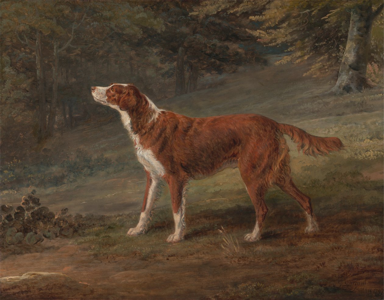 Korucu, pasör, Elizabeth Gray'in mülkü by George Garrard