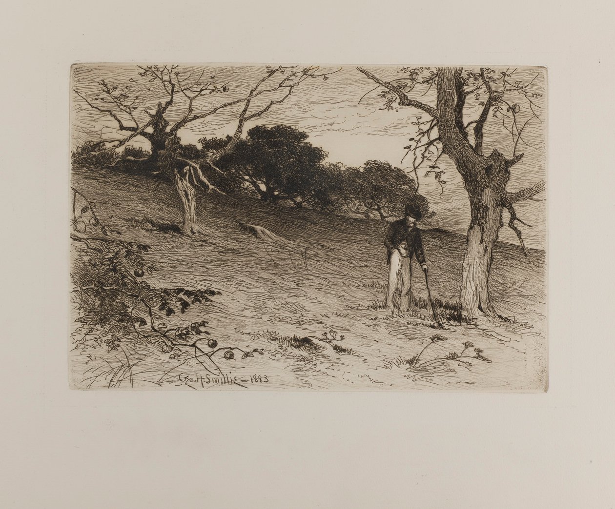 by George H. Smillie