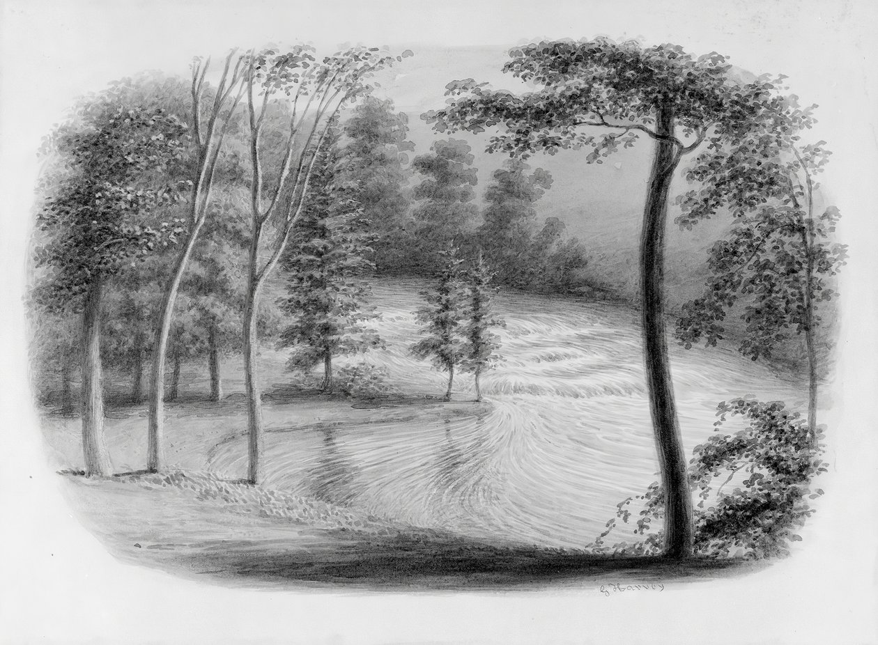 Hosack Albümünden Bir Brook, . by George Harvey
