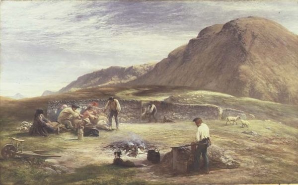 koyun kırkma by George Harvey