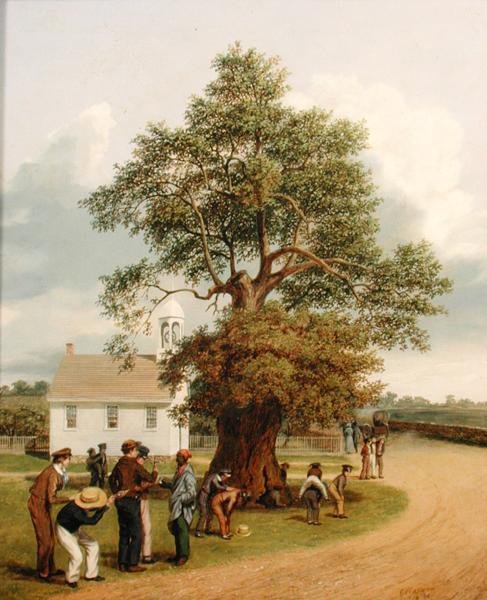 Havari Meşesi by George Harvey