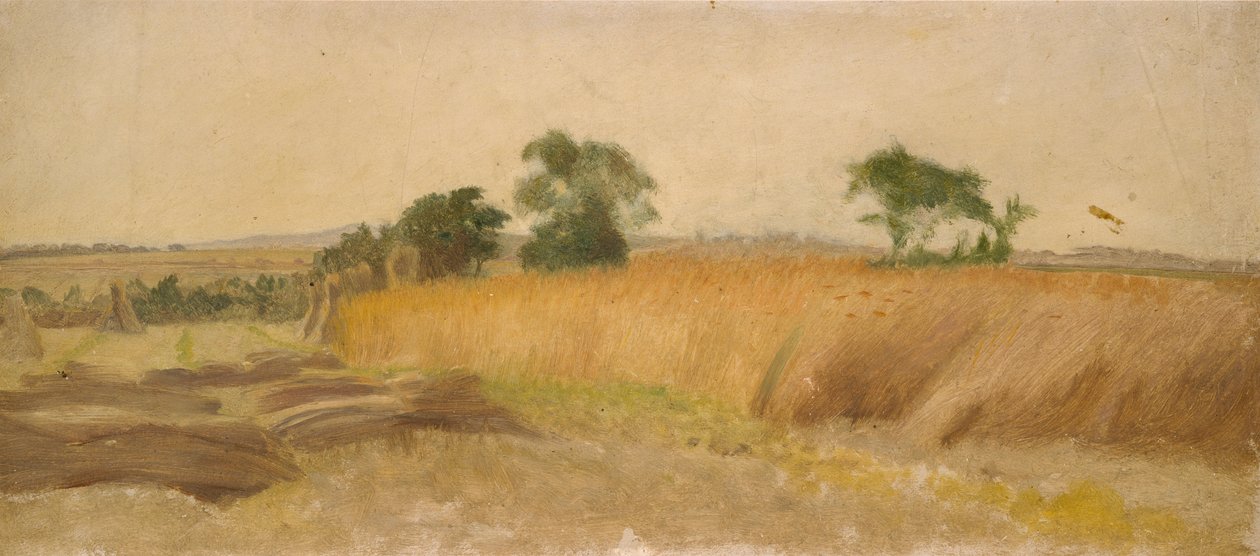 19. yüzyılın ortalarında bir Mısır Tarlası çalışması by George Heming Mason