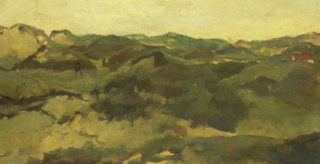 Muhtemelen Drenthe