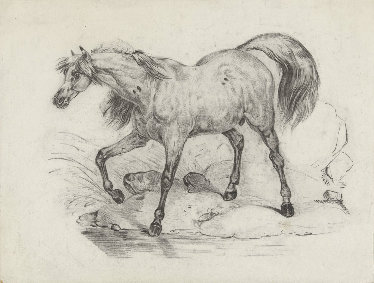 Ayakta at, sola by George Hendrik Breitner