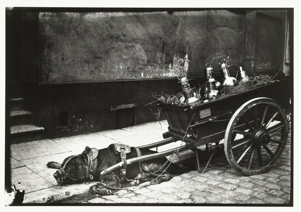 Otobüslerle bir arabanın önünde gerilmiş köpek çekerek by George Hendrik Breitner