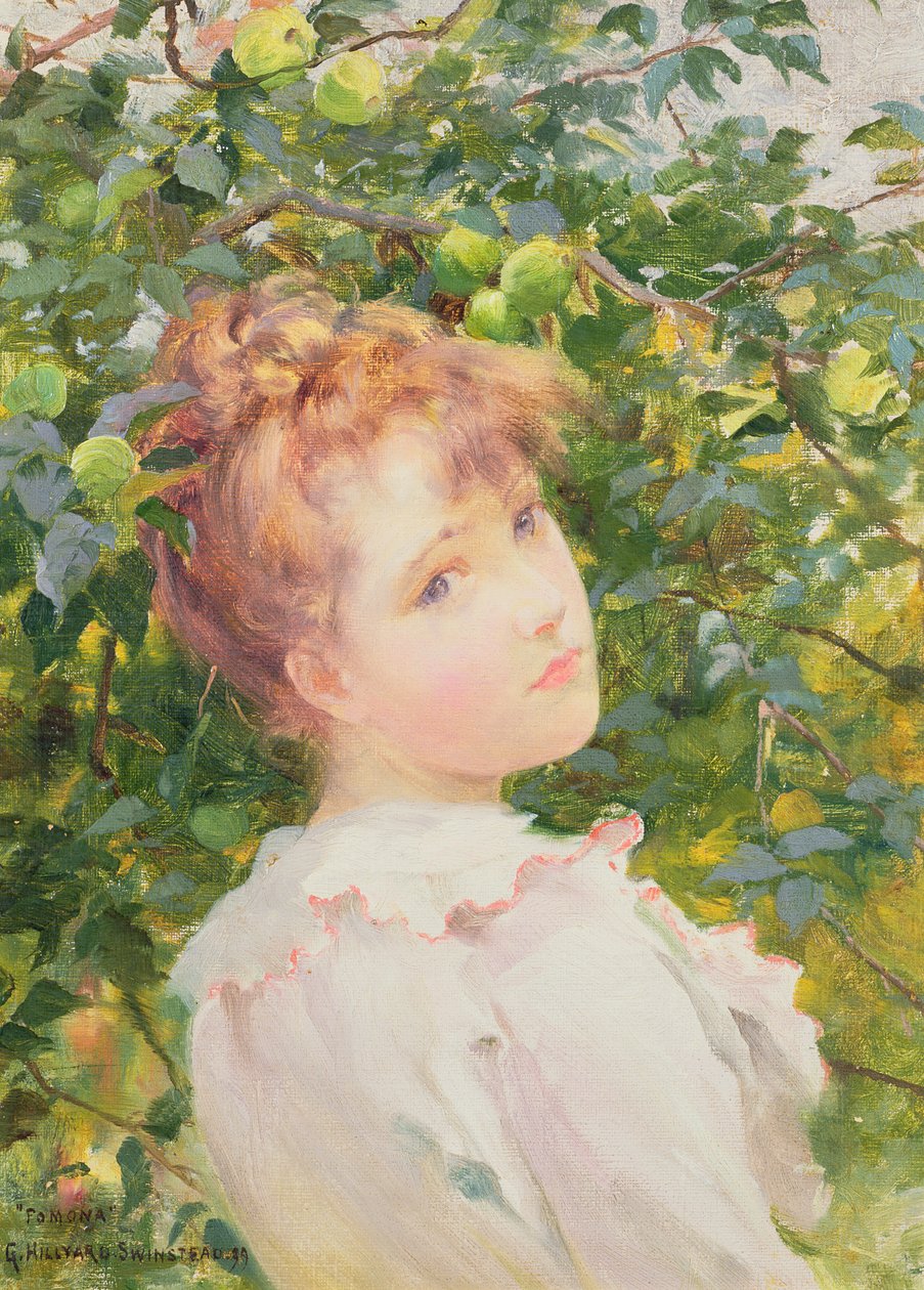 Pomona, 1899 by George Hillyard Swinstead