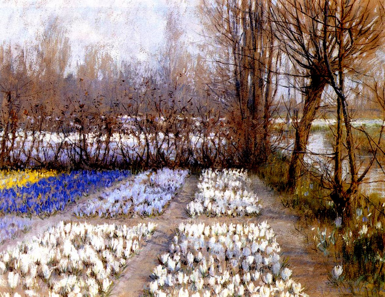 İlkbaharda Bir Çiğdem Tarlası, 1889 dolayları (kağıt üzerinde pastel) by George Hitchcock