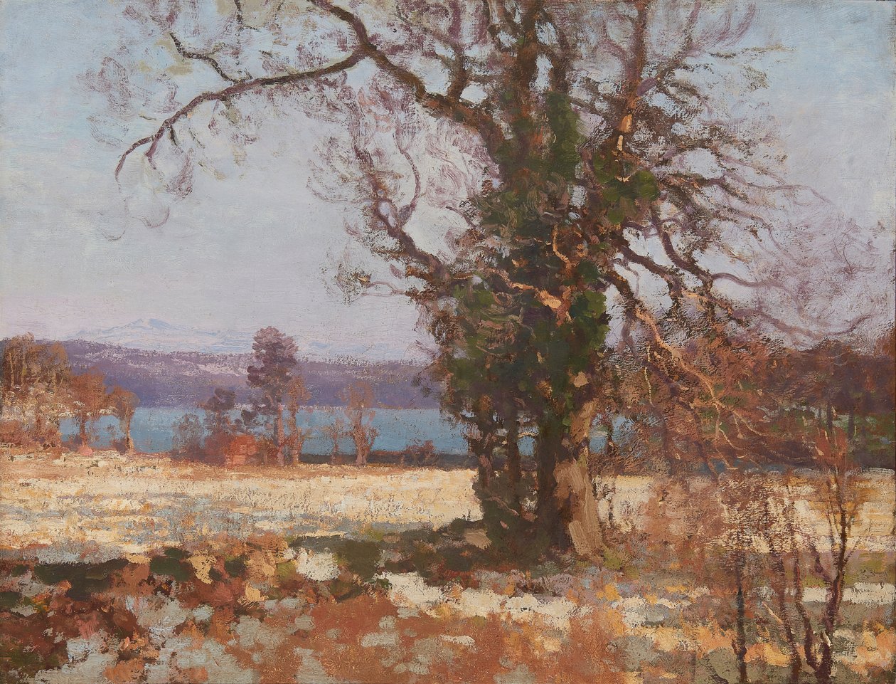 Kış Güneşi (tuval üzerine yağlı boya) by George Houston