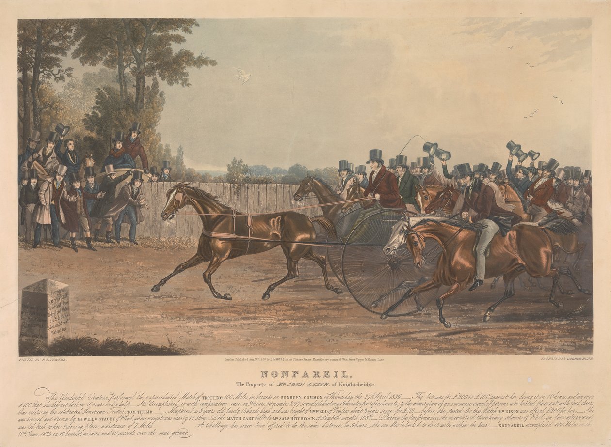 "Nonpareil" / Knightsbridge'den Bay John Dixon'ın Mülkiyeti / Bu Harika Yaratık, 27 Nisan 1836 Çarşamba günü Sunbury Common'da koşum takımıyla 100 Mil Koşarken benzeri görülmemiş bir Maç Gerçekleştirdi. ... by George Hunt