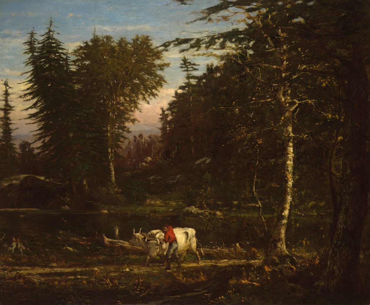 Adirondacks