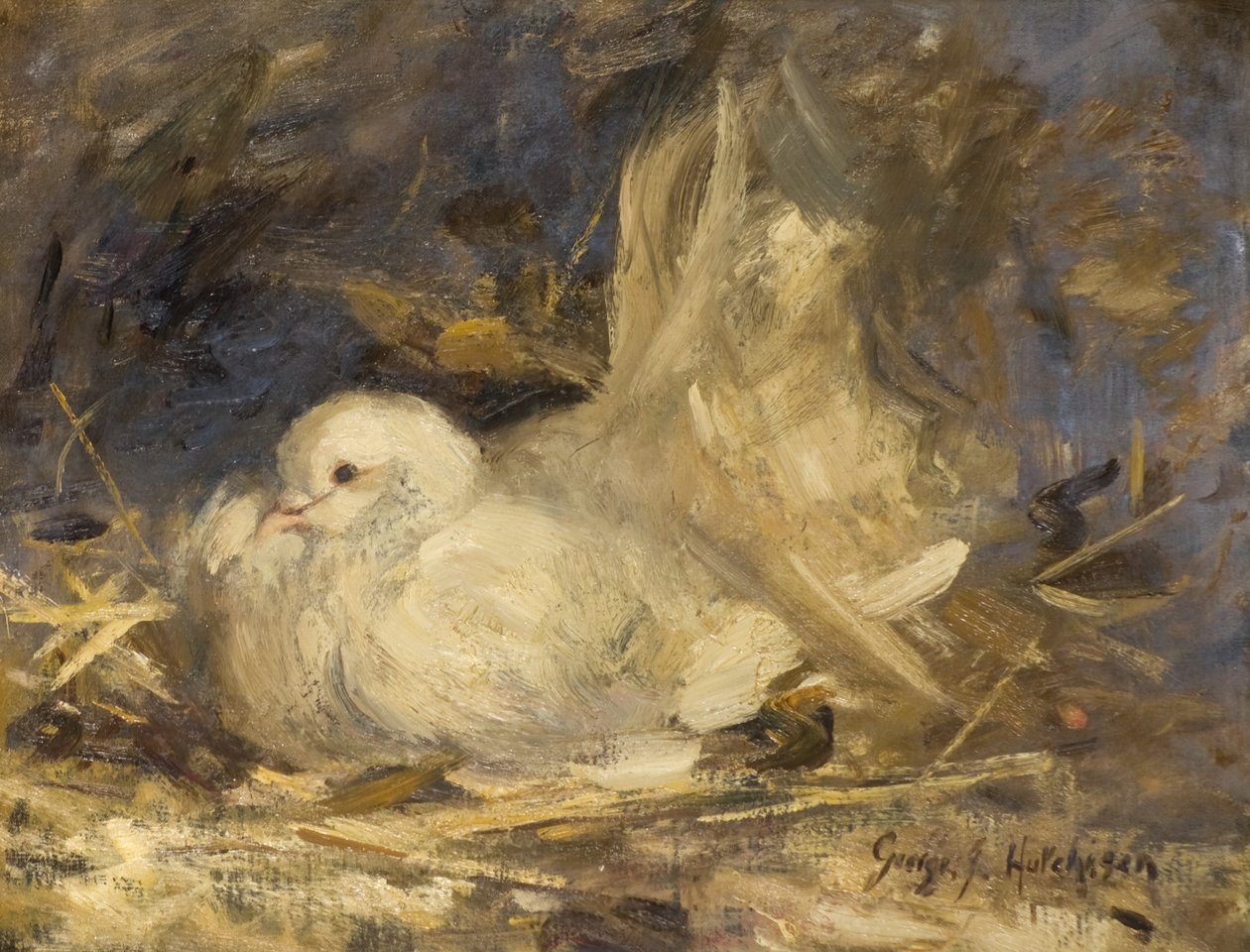 düşünceli güvercin by George Jackson Hutchison