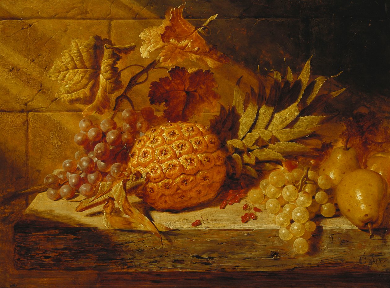 Siyah Beyaz Üzüm, Armut, Frenk Üzümü ve Çıkıntıda Ananas, 1845 by George Lance