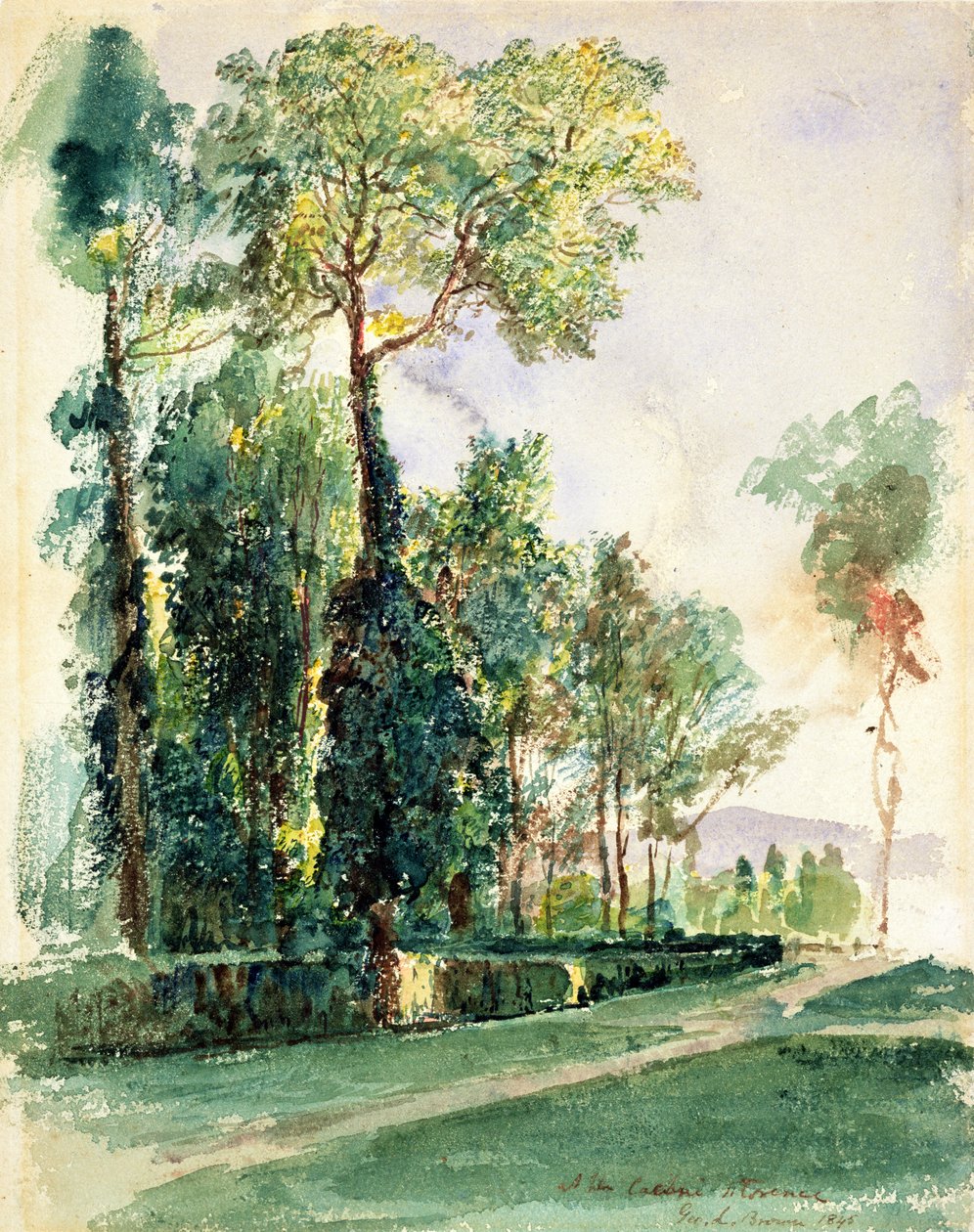 Cascine