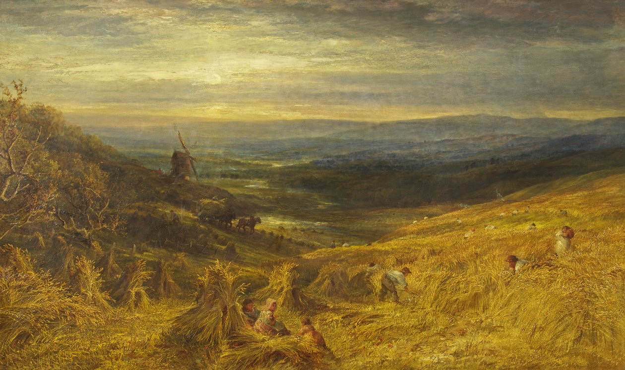 Bir Surrey Cornfield, 1877 dolayları (tuval üzerine yağlı boya) by George Lucas
