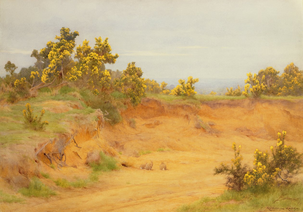 Tavşan Warren, Shere, Surrey by George Marks