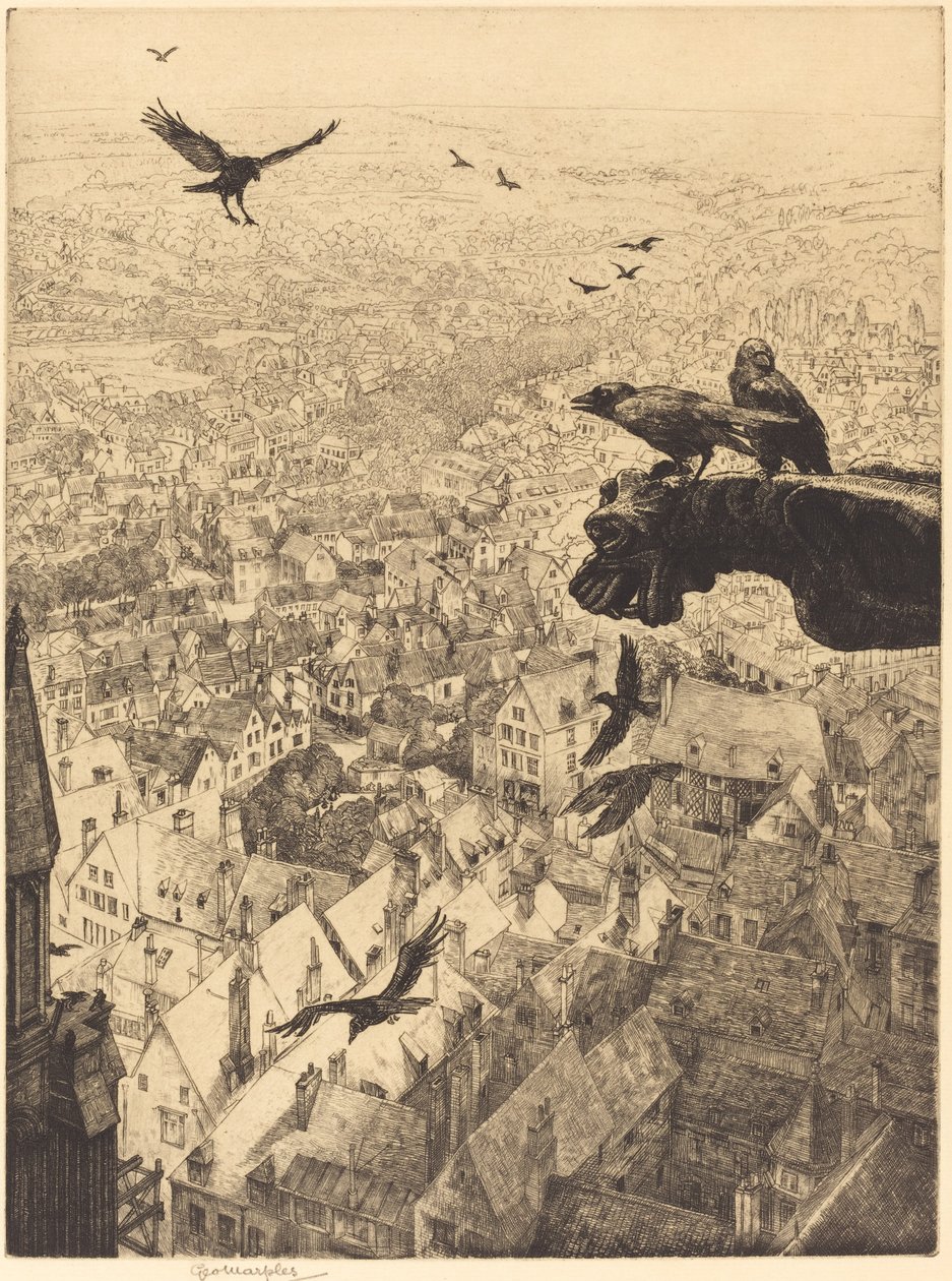Chartres Küçük Kargaları by George Marples