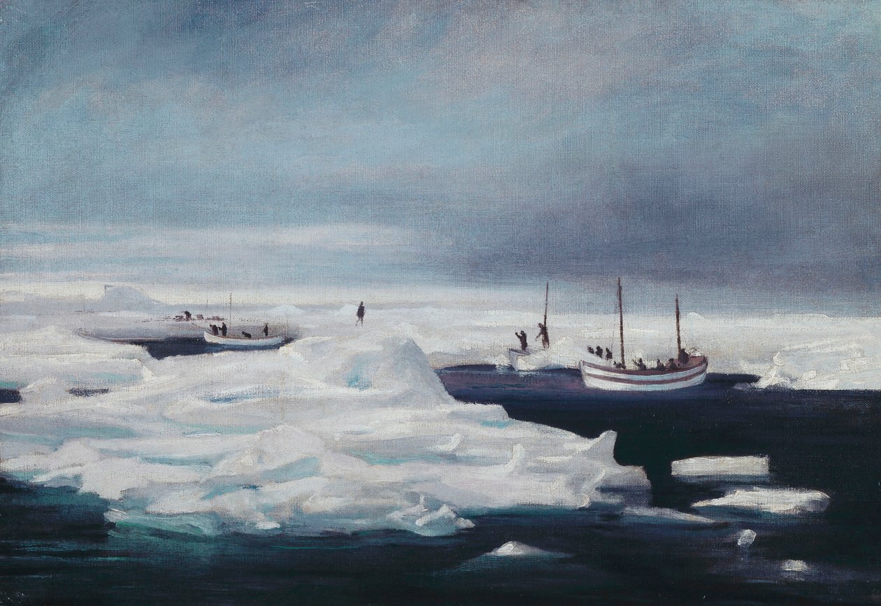 James Caird, Dudley Docker ve Stancomb Wills Weddell Denizi