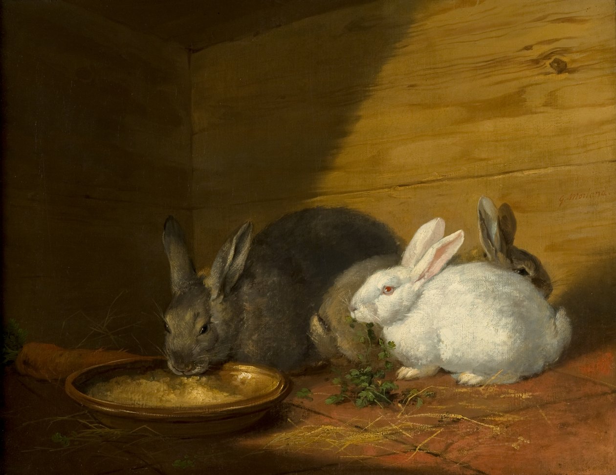 tavşanlar by George Morland