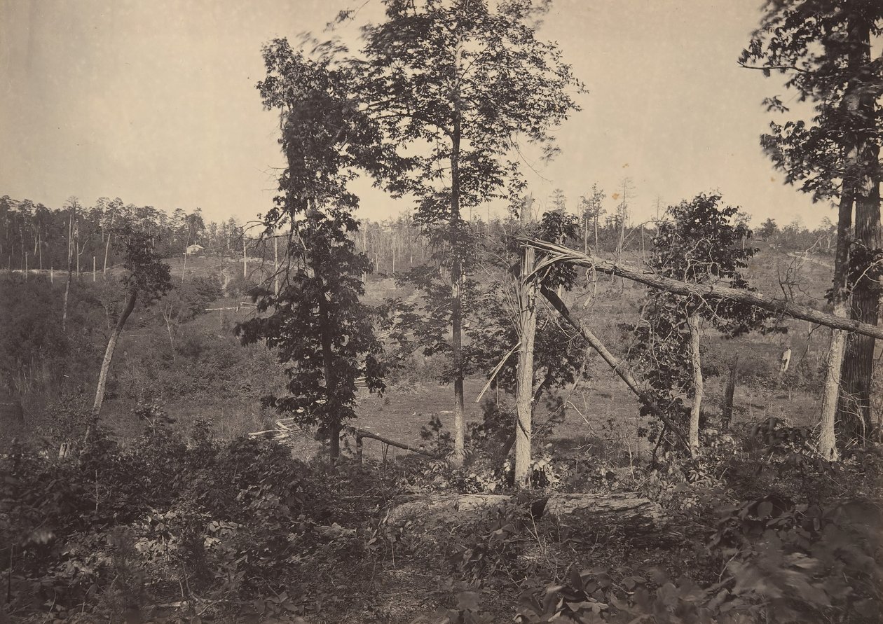 Resacca Savaş Alanı, Georgia No. 2, 1860