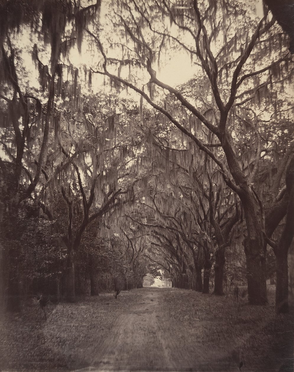 Bonaventure Mezarlığı, Savannah