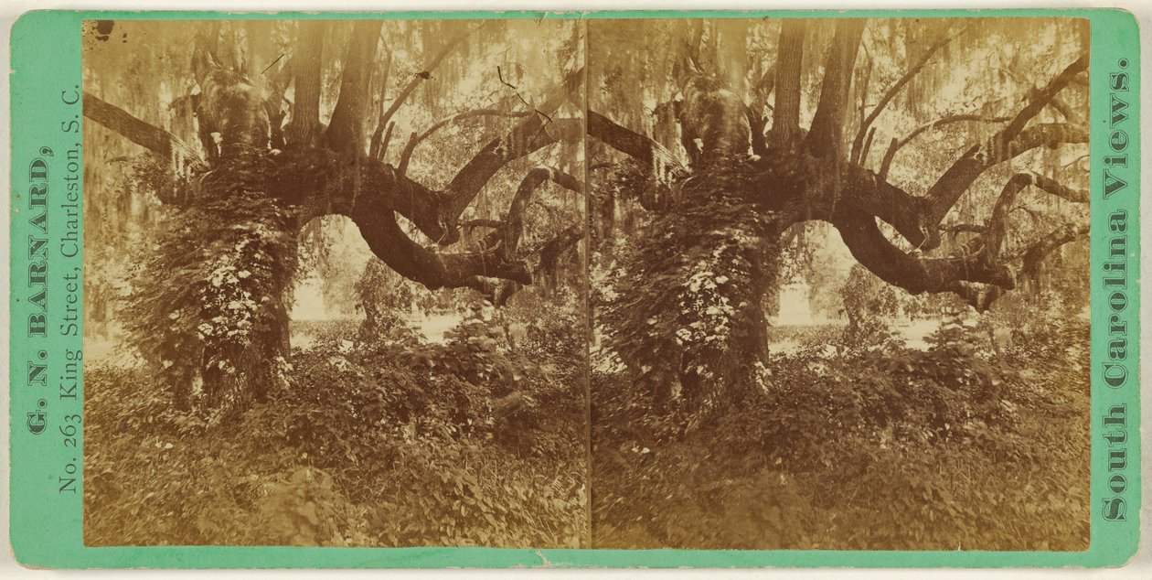  by George N. Barnard