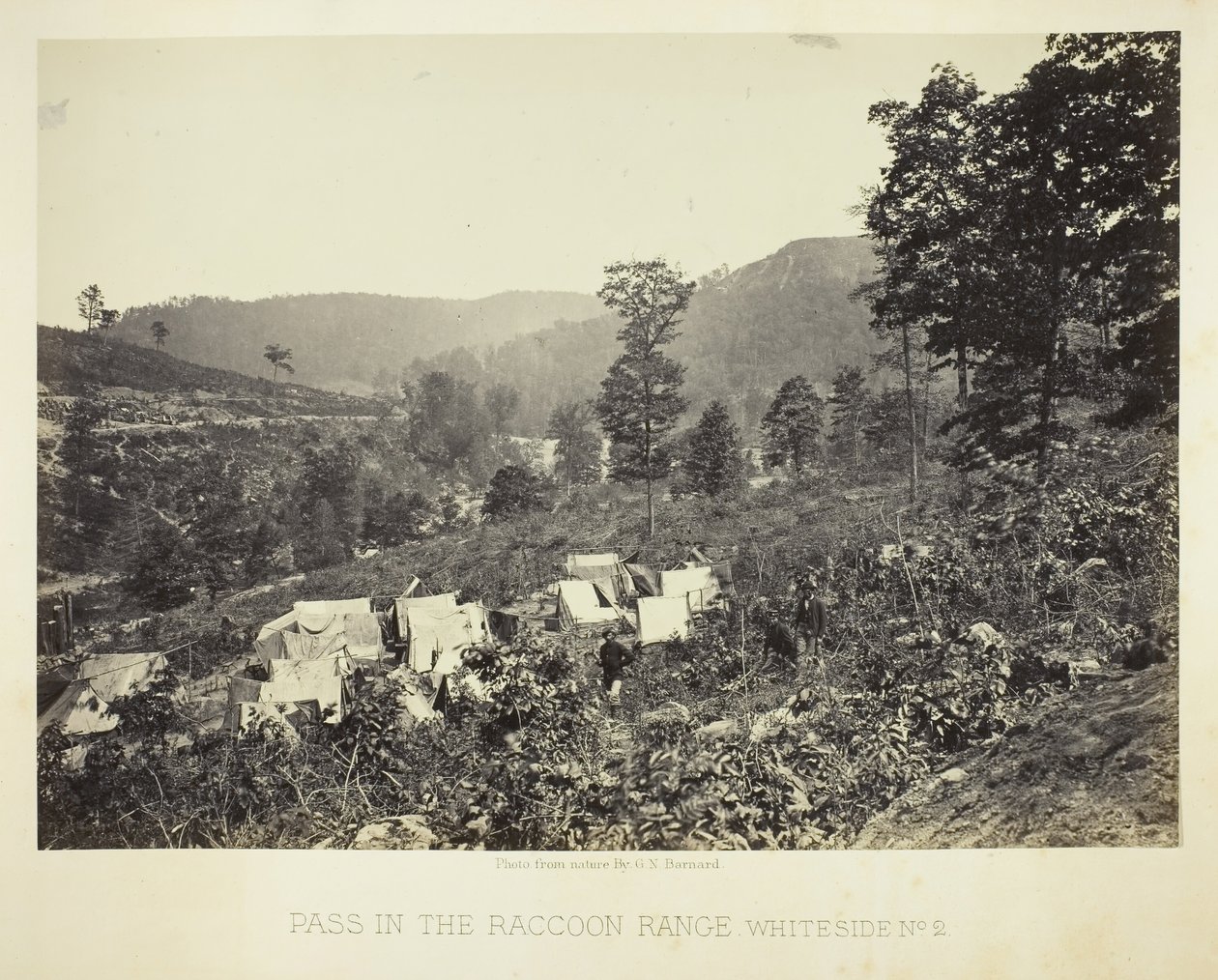 Raccoon Range