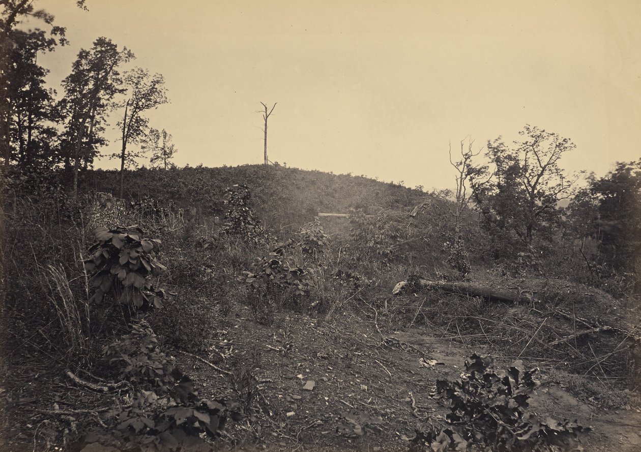  by George N. Barnard