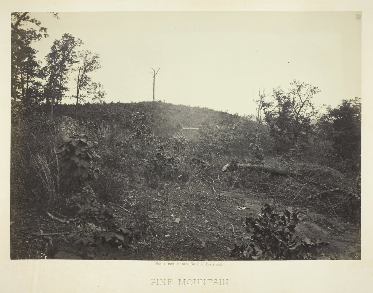 Çam Dağı, 1866. by George N. Barnard