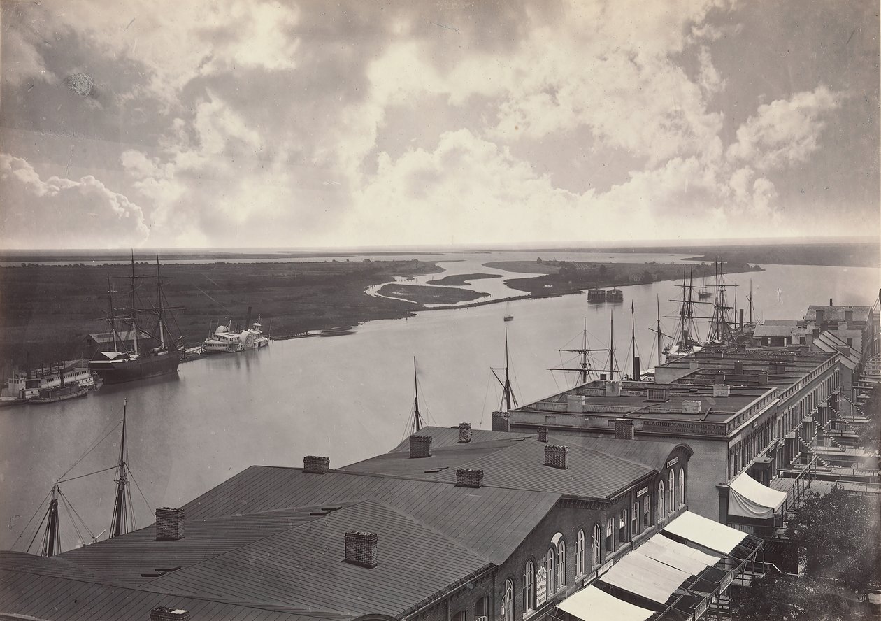 Savannah, Georgia, No. 2, 1866. by George N. Barnard